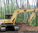 Stump Removal