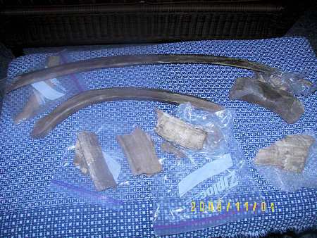 Bones Found