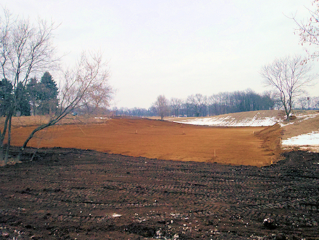 Land Clearing