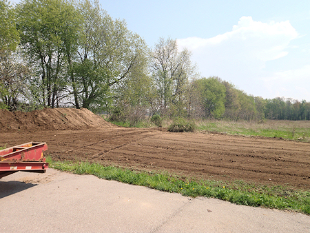 Land Clearing