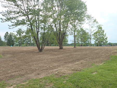 Land Clearing - Jackson Community College Project