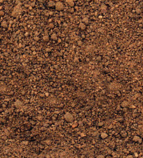Screened Top Soil