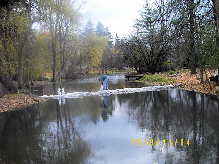 Pond